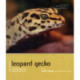 Leopard Gecko - Pet Expert: Understanding and Caring for Your Pet