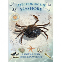 Let's Look on the Seashore