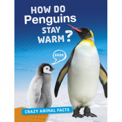 How Do Penguins Stay Warm?