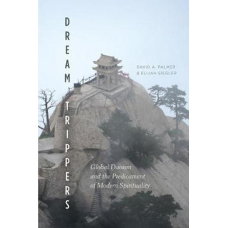 Dream Trippers: Global Daoism and the Predicament of Modern Spirituality