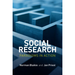 Social Research: Paradigms in Action