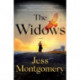 The Widows: A Novel