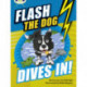 Bug Club Independent Fiction Year 3 Brown B Flash the Dog Dives In!