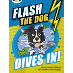 Bug Club Independent Fiction Year 3 Brown B Flash the Dog Dives In!
