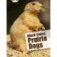 Bug Club Independent Non Fiction Year Two White B Black-tailed Prairie Dogs