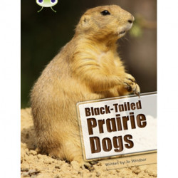 Bug Club Independent Non Fiction Year Two White B Black-tailed Prairie Dogs