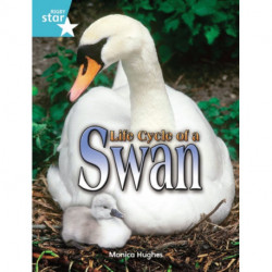 Rigby Star Independent Year 2 Turquoise Non Fiction Life Cycle of a Swan Single