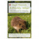 A Prickly Affair: The Charm of the Hedgehog