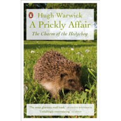 A Prickly Affair: The Charm of the Hedgehog