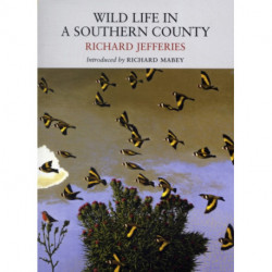 Wild Life in a Southern County