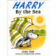 Harry By The Sea