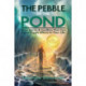 The Pebble in the Pond: Entry Points & Conflicts That Cause Ripple Effects In Your Life