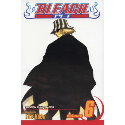 Bleach, Vol. 6: The Death Trilogy Overture