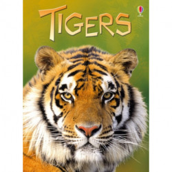 Tigers