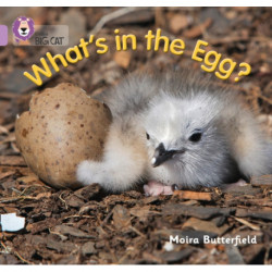 What’s in the Egg?: Band 00/Lilac