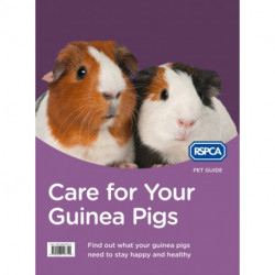 Care for Your Guinea Pigs