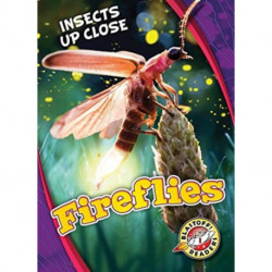 Fireflies