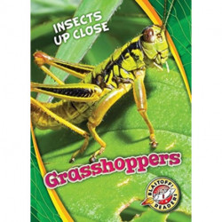 Grasshoppers