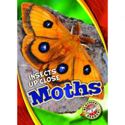 Moths