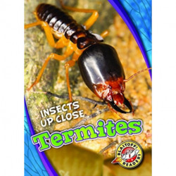 Termites