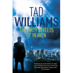 The Dirty Streets of Heaven: Bobby Dollar 1