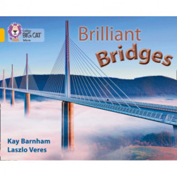 Brilliant Bridges: Band 09/Gold