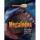 Megalodon: The Largest Shark That Ever Lived
