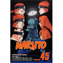 Naruto, Vol. 45