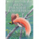 Birds of Paradise and Bowerbirds