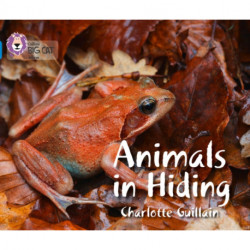 Animals in Hiding: Band 04/Blue