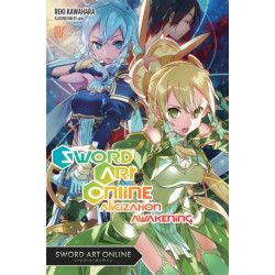 Sword Art Online 17 (light novel)