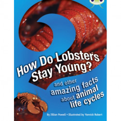 Bug Club Independent Non Fiction Year 3 Brown A How Do Lobsters Stay Young?