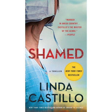 Shamed: A Kate Burkholder Novel