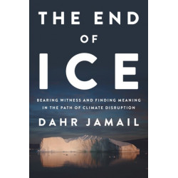 The End Of Ice