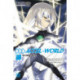 Accel World, Vol. 21 (light novel)