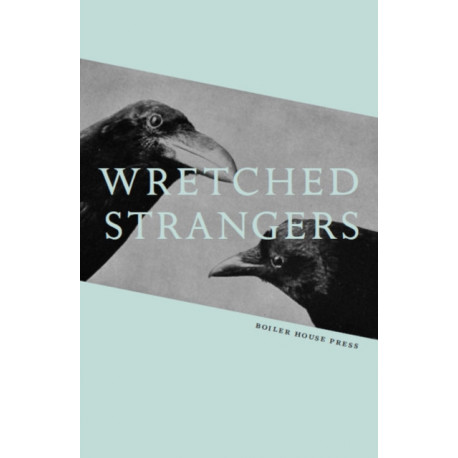 Wretched Strangers: Writing Against Brexit