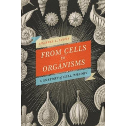From Cells to Organisms: Re-envisioning Cell Theory