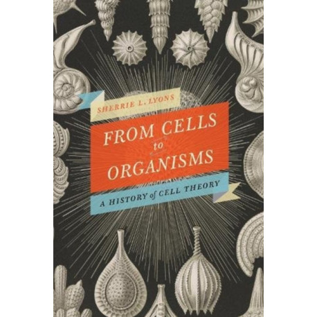 From Cells to Organisms: Re-envisioning Cell Theory