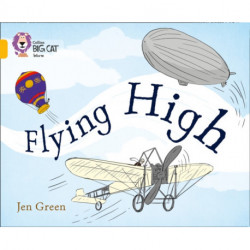 Flying High: Band 09/Gold
