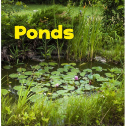 Ponds
