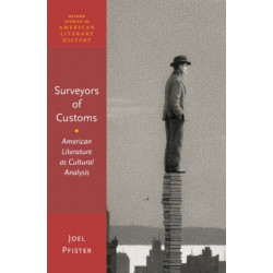 Surveyors of Custom: American Literature as Cultural Analysis