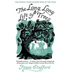 The Long, Long Life of Trees