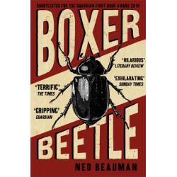 Boxer, Beetle