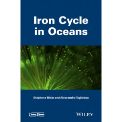 Iron Cycle in Oceans