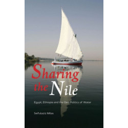 Sharing the Nile: Egypt, Ethiopia and the Geo-Politics of Water
