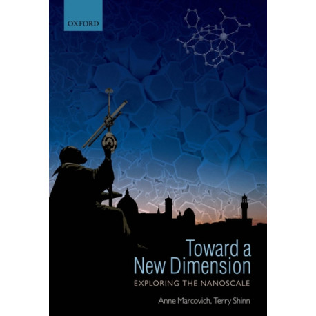 Toward a New Dimension: Exploring the Nanoscale