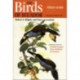 The Birds of Ecuador: Field Guide