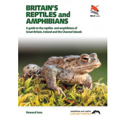 Britain`s Reptiles and Amphibians