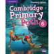 Cambridge Primary Path Level 6 Teacher's Edition