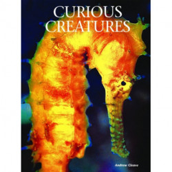 Curious Creatures